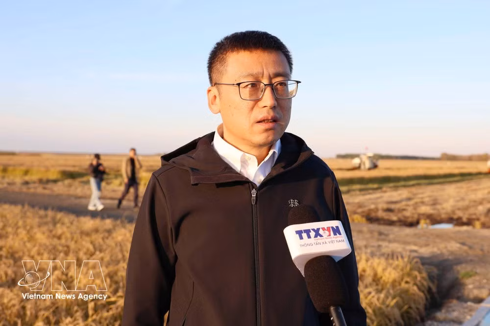Liu Xiaobing, jefe de la División de Gestión de Cultivos del Departamento Provincial de Agricultura y Asuntos Rurales de Heilongjiang. (Foto: VNA)