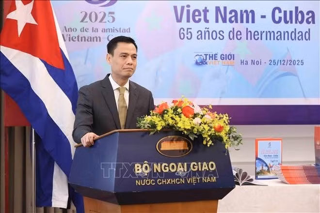 El viceministro vietnamita de Relaciones Exteriores Dang Hoang Giang habla en el evento. (Fuente: VNA)