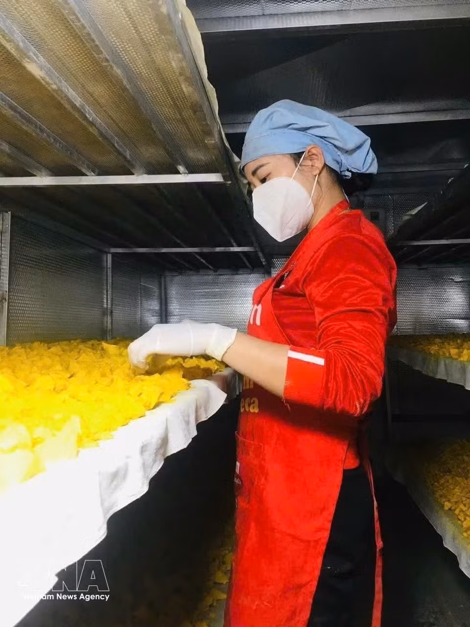 En una empresa de producción de medicamentos en la provincia de Nghe An. (Fuente: VNA)
