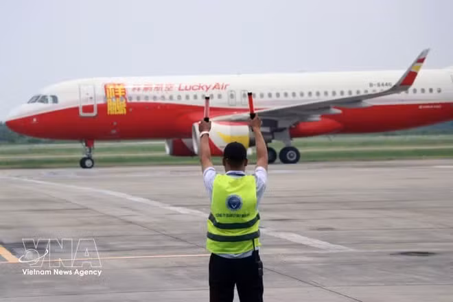 Un avión en el Aeropuerto Internacional Cat Bi, en la ciudad de Hai Phong (Foto: VNA)