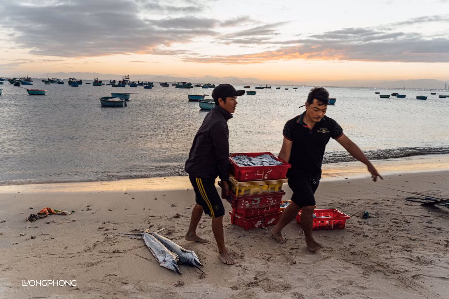 Los visitantes pueden integrarse en el pequeño mercado de pescado, ubicado directamente en la playa, donde se aprecia plenamente la vida local.