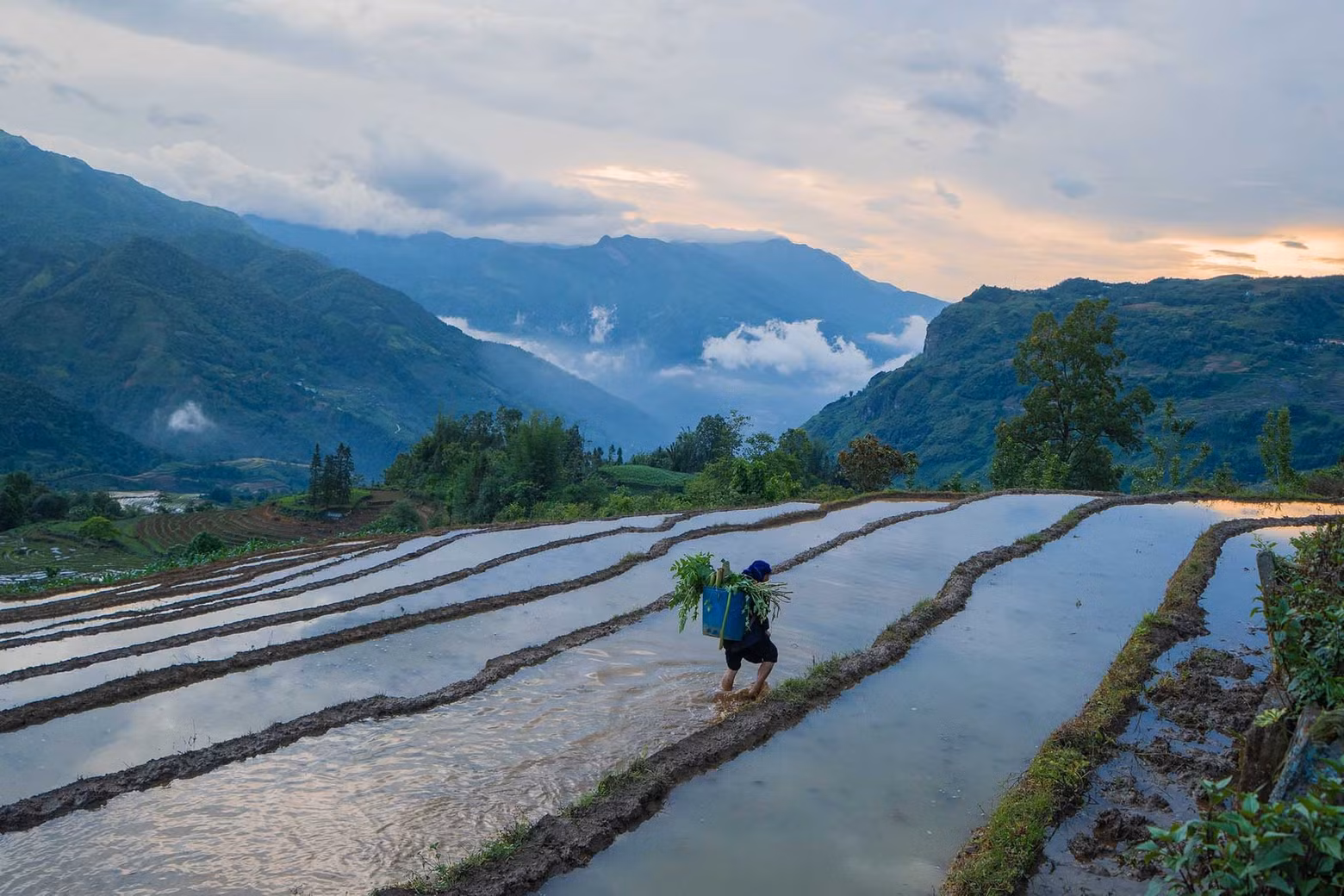 Para los habitantes de las zonas altas, la agricultura depende en gran medida del clima.