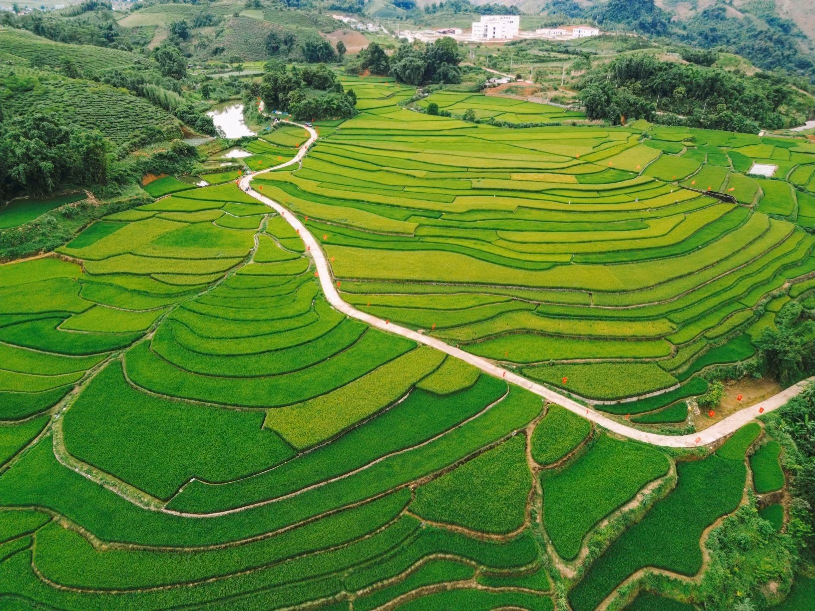 A unos 21 kilómetros del centro de Moc Chau se encuentran las terrazas de arroz de Suoi Lin, un destino popular entre los jóvenes que viajan a Son La para disfrutar de la temporada del arroz, gracias a su fácil acceso en moto o coche.