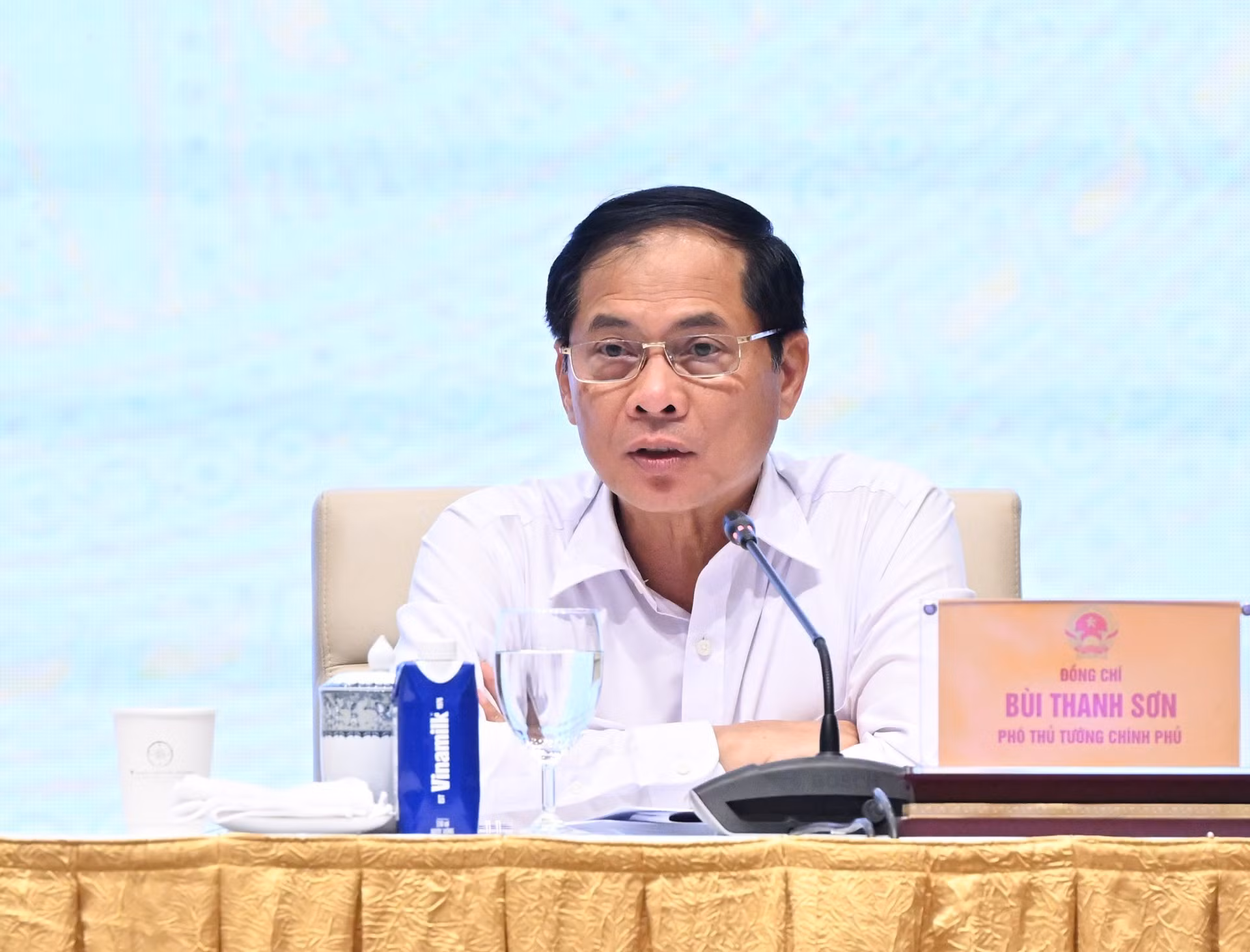 El viceprimer ministro y canciller, Bui Thanh Son, presenta su opinión.