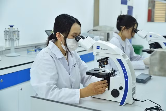 Vietnam promueve formación de talento STEM para liderar desarrollo de tecnologías estratégicas