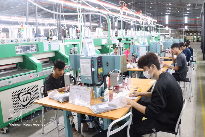 En una empresa en la provincia de Tay Ninh. (Fuente: VNA)