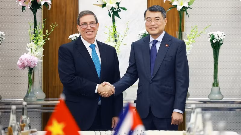 El primer ministro de Vietnam, Le Minh Hung, se reúne hoy en Nueva Delhi con el ministro de Relaciones Exteriores de Cuba, Bruno Rodríguez Parrilla.