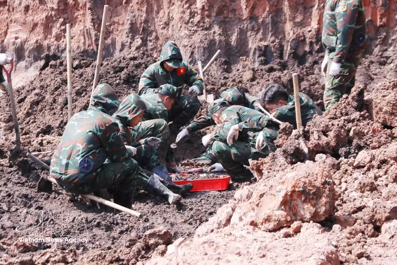Ciudad Ho Chi Minh recupera restos de otros 19 mártires en el parque Le Thi Rieng