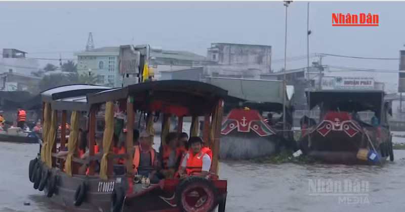 [Vídeo] Can Tho recibe a más de 353 mil visitantes durante feriados por el Día Nacional