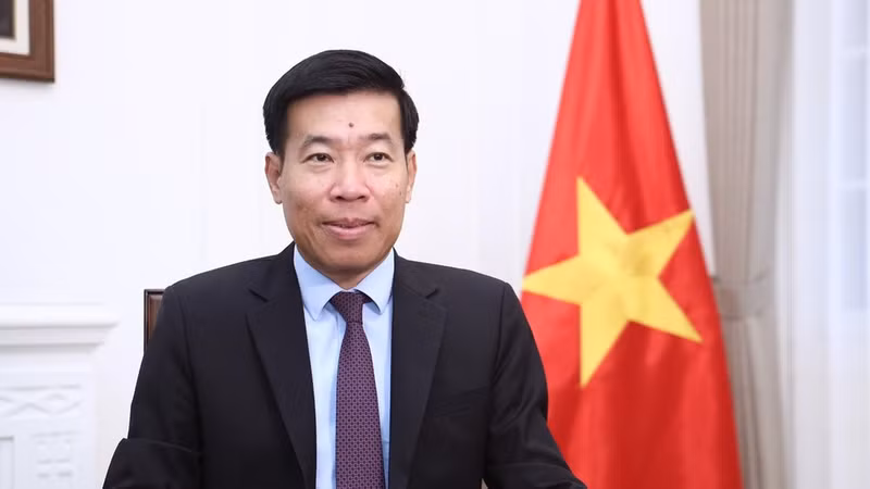El viceministro vietnamita de Relaciones Exteriores, Nguyen Manh Cuong. (Foto: VNA)