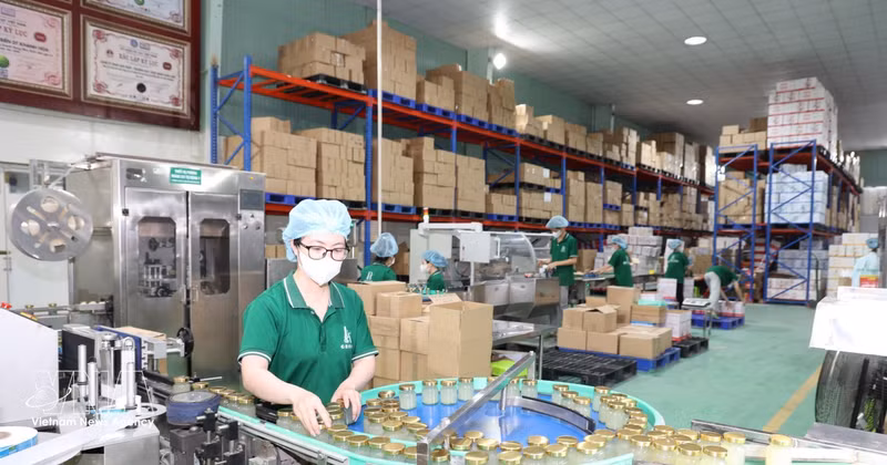 Una línea de fabricación de productos de nidos de salangana en la provincia de Khanh Hoa. (Foto: VNA)