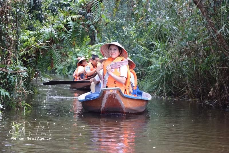 Los turistas disfrutan de la experiencia de navegar en canoa para explorar la Reserva Ecológica Dong Thap Muoi en la comuna de Tan Phuoc 2, provincia de Dong Thap. (Fuente: VNA)