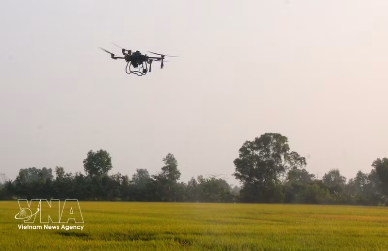 Vietnam refuerza la gestión y vigilancia de los drones (Foto: VNA)