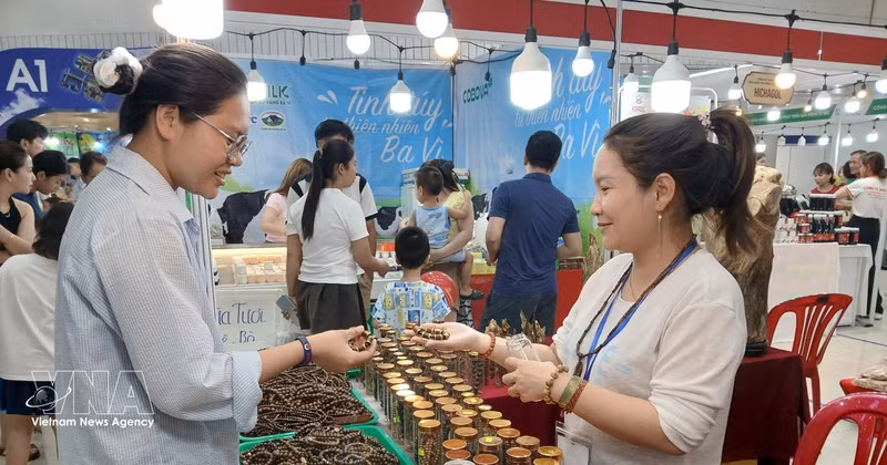 Da Nang impulsa exportaciones a través del comercio electrónico. (Foto: VNA)