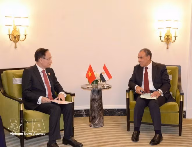 El miembro del Buró Político y ministro de Relaciones Exteriores, Le Hoai Trung, (izquierda) se reúne con el ministro de Relaciones Exteriores de Egipto, Badr Abdelatty. (Foto: VNA)