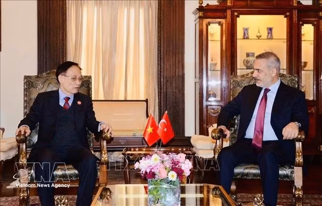 El miembro del Buró Político y ministro de Relaciones Exteriores, Le Hoai Trung, (izquierda) se reúne con el ministro de Relaciones Exteriores de Turquía, Hakan Fidan. (Foto: VNA)