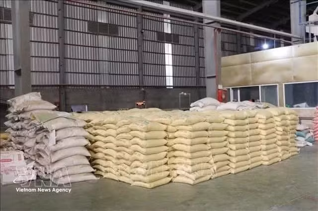 Filipinas sigue siendo el mayor comprador de arroz vietnamita, con una cuota de mercado del 40,9 por ciento. (Foto: VNA)