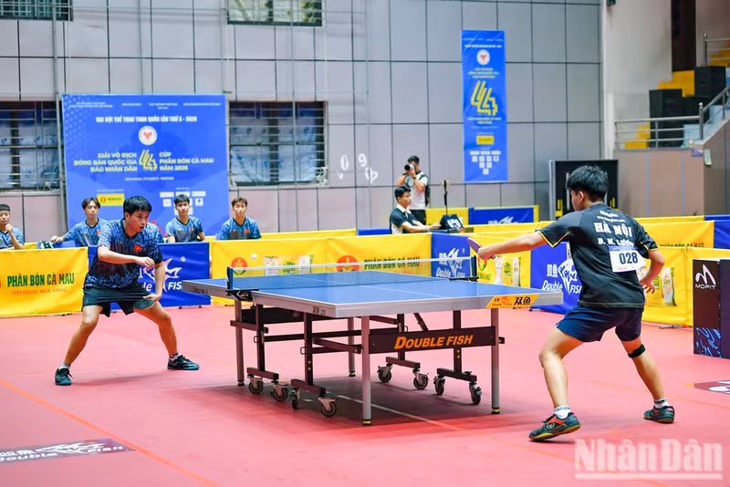 Doan Ba Tuan Anh (Hai Phong) enfrenta a Do Manh Luong (Hanói).