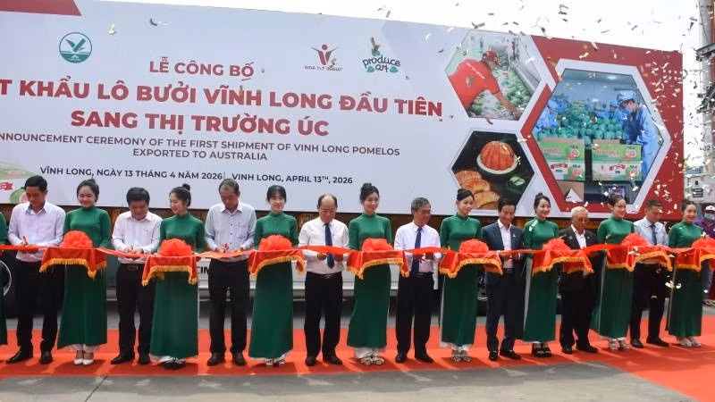 Asistentes al acto de corte de cinta para anunciar la exportación del primer lote de pomelos de Vinh Long hacia Australia.