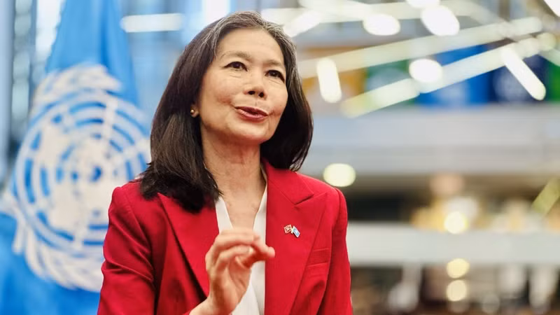 Pauline Tamesis, coordinadora residente de la ONU en Vietnam en la entrevista. (Fuente: VNA)