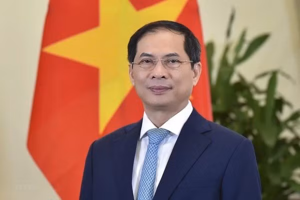 El canciller vietnamita, Bui Thanh Son (Foto: VNA)