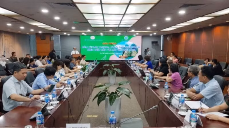 Panorama del seminario. 