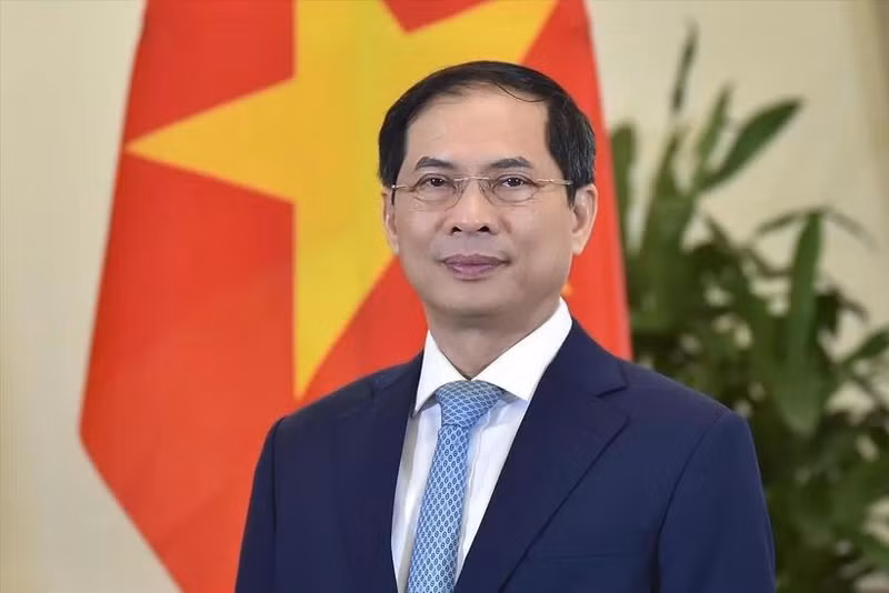 El ministro de Relaciones Exteriores, Bui Thanh Son. (Fuente: VNA)