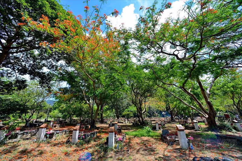 El cementerio de los Mártires de Hang Duong, lugar de descanso de miles de soldados revolucionarios encarcelados en la prisión de Con Dao desde 1862 hasta el 30 de abril de 1975. (Fuente: Revista Ilustrada de Vietnam)