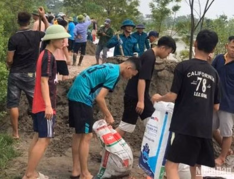 Jóvenes de la comuna de Vu Tien llenan los sacos por arena para reforzar el dique.