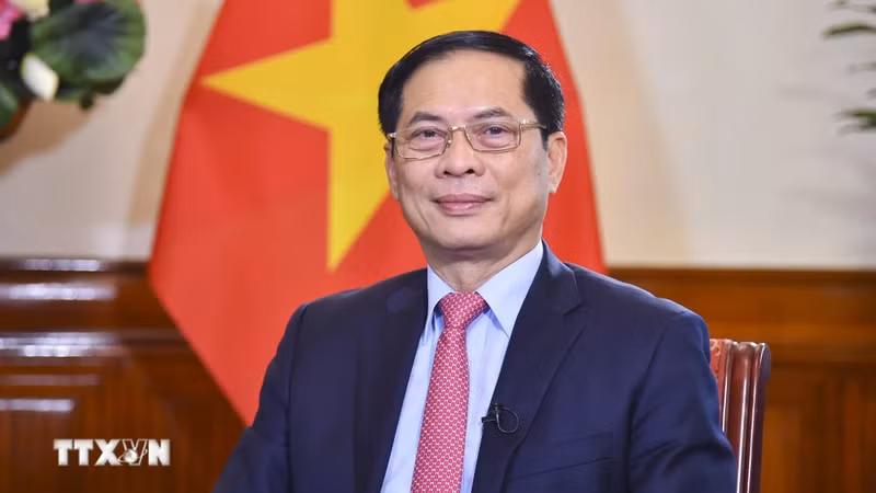 El canciller de Vietnam, Bui Thanh Son. (Fuente: VNA)