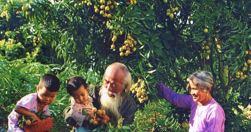  Resaltan valores tradicionales de familia vietnamita 