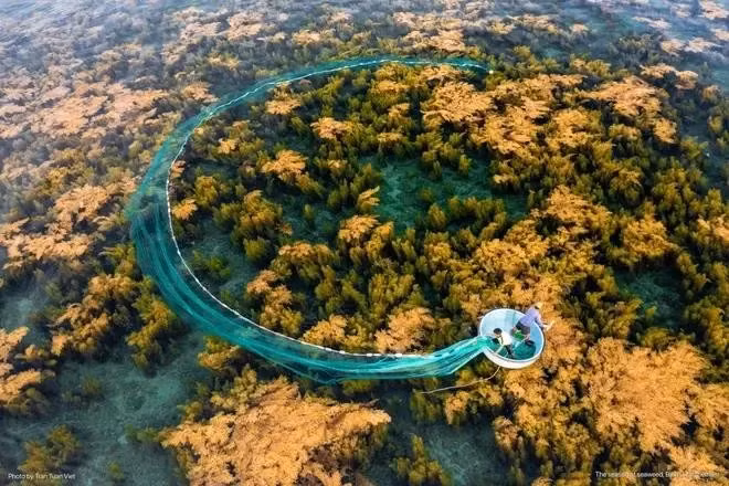 La belleza natural de Vietnam (Fuente: Vietnam+)