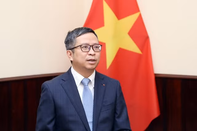El viceministro vietnamita de Relaciones Exteriores Pham Thanh Binh (Foto: chinhphu.vn)