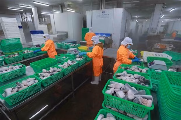 Según experto de FMI, Vietnam necesita seguir reformándose para tener un mejor entorno empresarial. (Fuente: VNA)