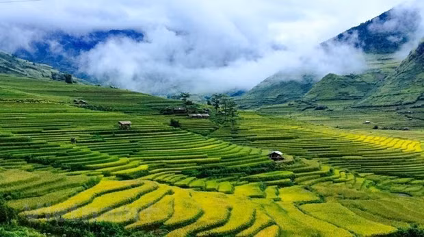 Los bancales de arroz en Mu Cang Chai, provincia de Yen Bai (Fuente: VNA)