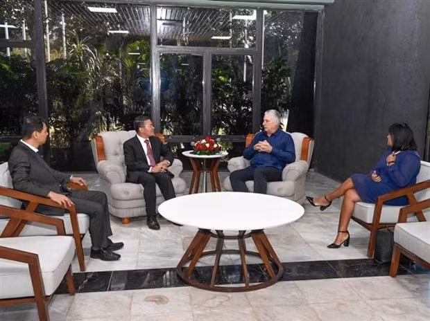 El panorama de la reunión. (Fuente:VNA)
