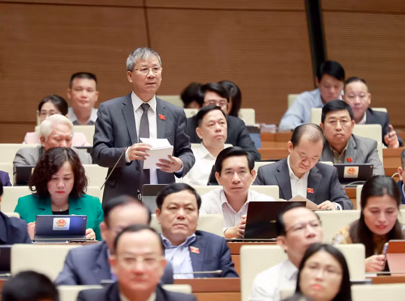 El delegado de la Asamblea Nacional en Hanói Nguyen Anh Tri expresa su opinión.