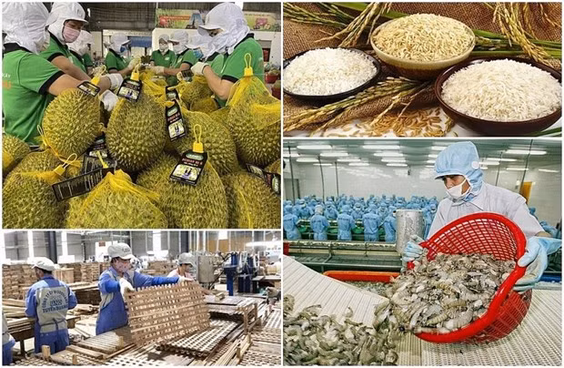 Vietnam promueve aplicación de tecnología para la agricultura sostenible (Fuente: baodautu.vn)