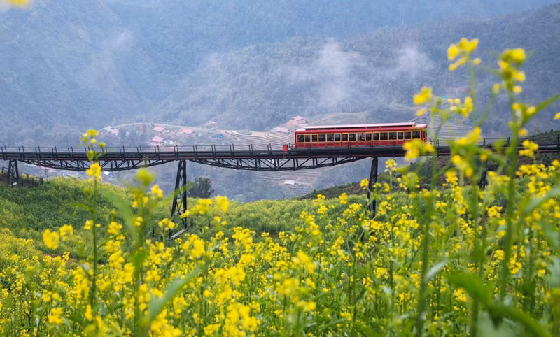 El tren que pasa por Muong Hoa hacia a la cima del Fansipan. El tren que pasa por Muong Hoa hacia a la cima del Fansipan.