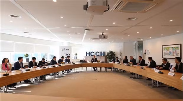 La sesión de trabajo entre la delegación vietnamita y Christophe Bernasconi, Secretario General de la Conferencia de la Haya de Derecho Internacional Privado (HCCH) (Fuente: VNA) La sesión de trabajo entre la delegación vietnamita y Christophe Bernasconi, Secretario General de la Conferencia de la Haya de Derecho Internacional Privado (HCCH) (Fuente: VNA)