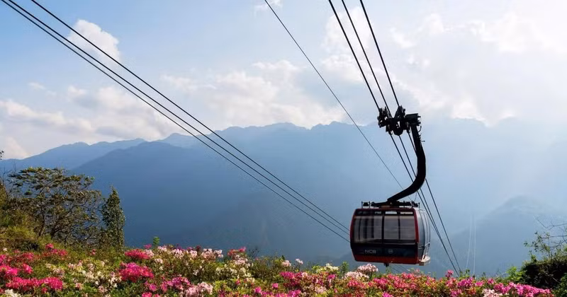 Fansipan, fascinante destino para observar las azaleas desde el punto más alto de Vietnam.