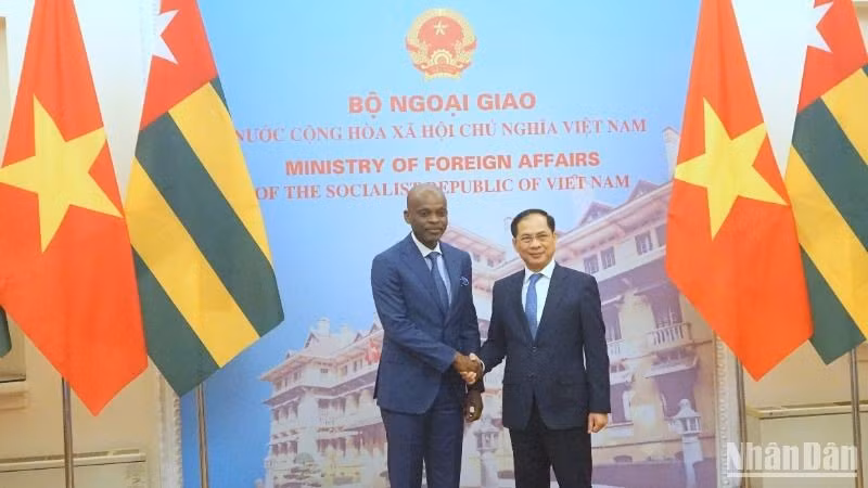 El viceprimer ministro y canciller de Vietnam, Bui Thanh Son, sostiene conversaciones en Hanói con el ministro de Asuntos Exteriores, Integración Regional y Togoleses en el Exterior de Togo, Robert Dussey (Fuente: VNA)