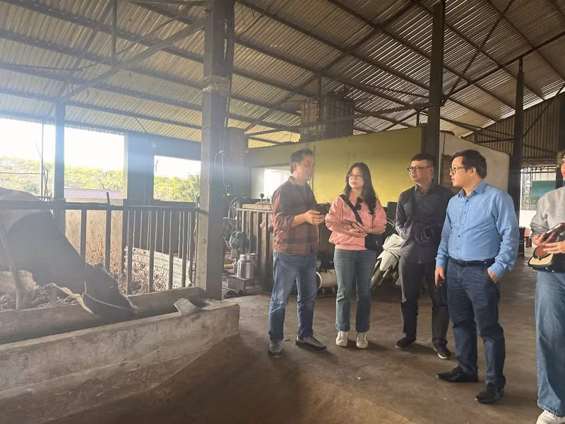 Nguyen Quang Vinh (izquierda), propietario de Amifarm, presenta métodos de crianza de vacas y producción de leche orgánica. (Foto: Loc Hang)