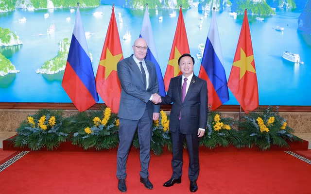 El viceprimer ministro vietnamita, Tran Hong Ha (derecha), se reúne con su homólogo ruso, Dmitry Nikolayevich Chernyshenko (Foto: VNA)
