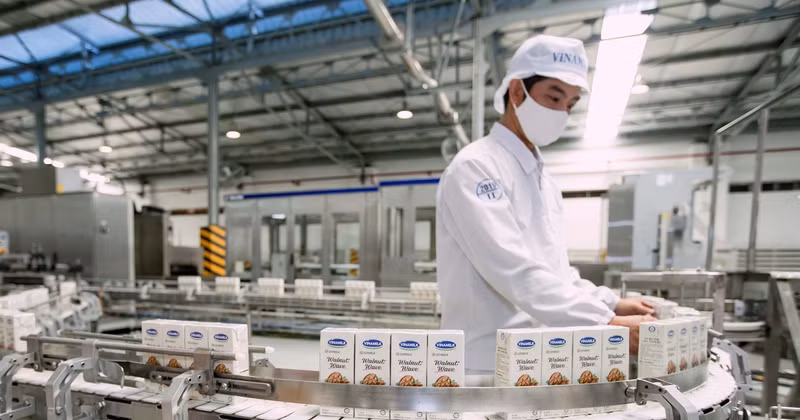 La producción de leche de Vinamilk. (Fotografía: VNA)