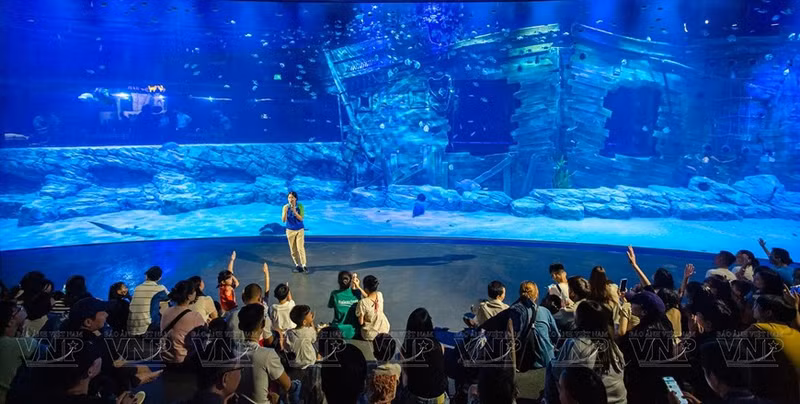 Turistas y niños escuchan una introducción sobre el Acuario Lotte World Hanói en la principal zona de tanques acrílicos curvos de mayor tamaño del Sudeste Asiático.