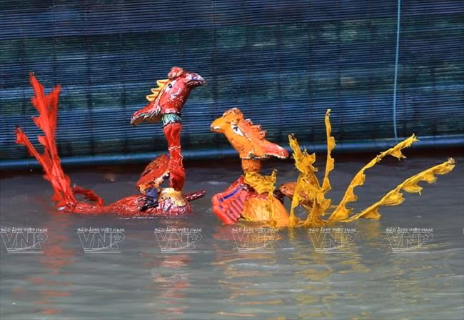 Danza de fénix.