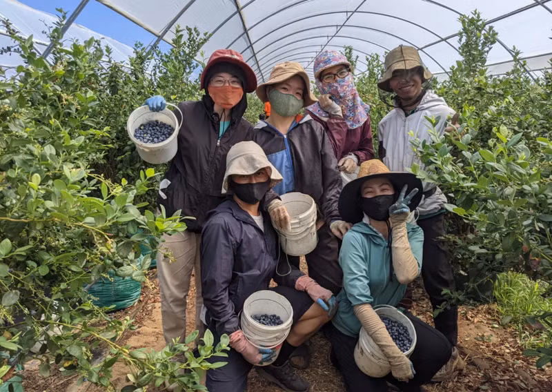 Trabajadores vietnamitas en Australia (Fotografía: laodong.vn)