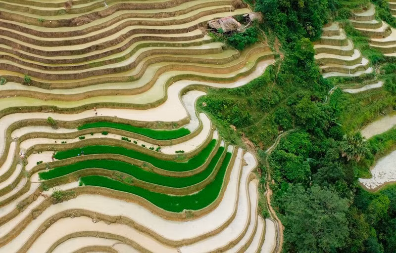 Las terrazas de arroz son como espejos que reflejan la tierra y el cielo. Las terrazas de arroz son como espejos que reflejan la tierra y el cielo.
