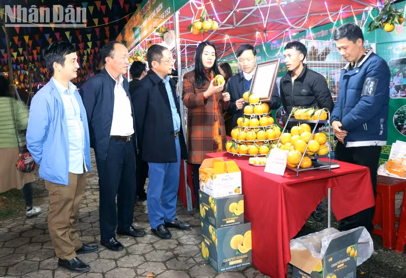 Inauguran en ciudad de Ha Tinh Festival de Naranjas.